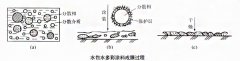 揭秘水包水多彩仿大理石效果实现原理？